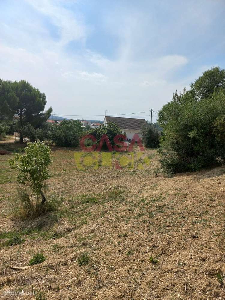 Terreno Rústico  Venda em Assentiz,Torres Novas-6