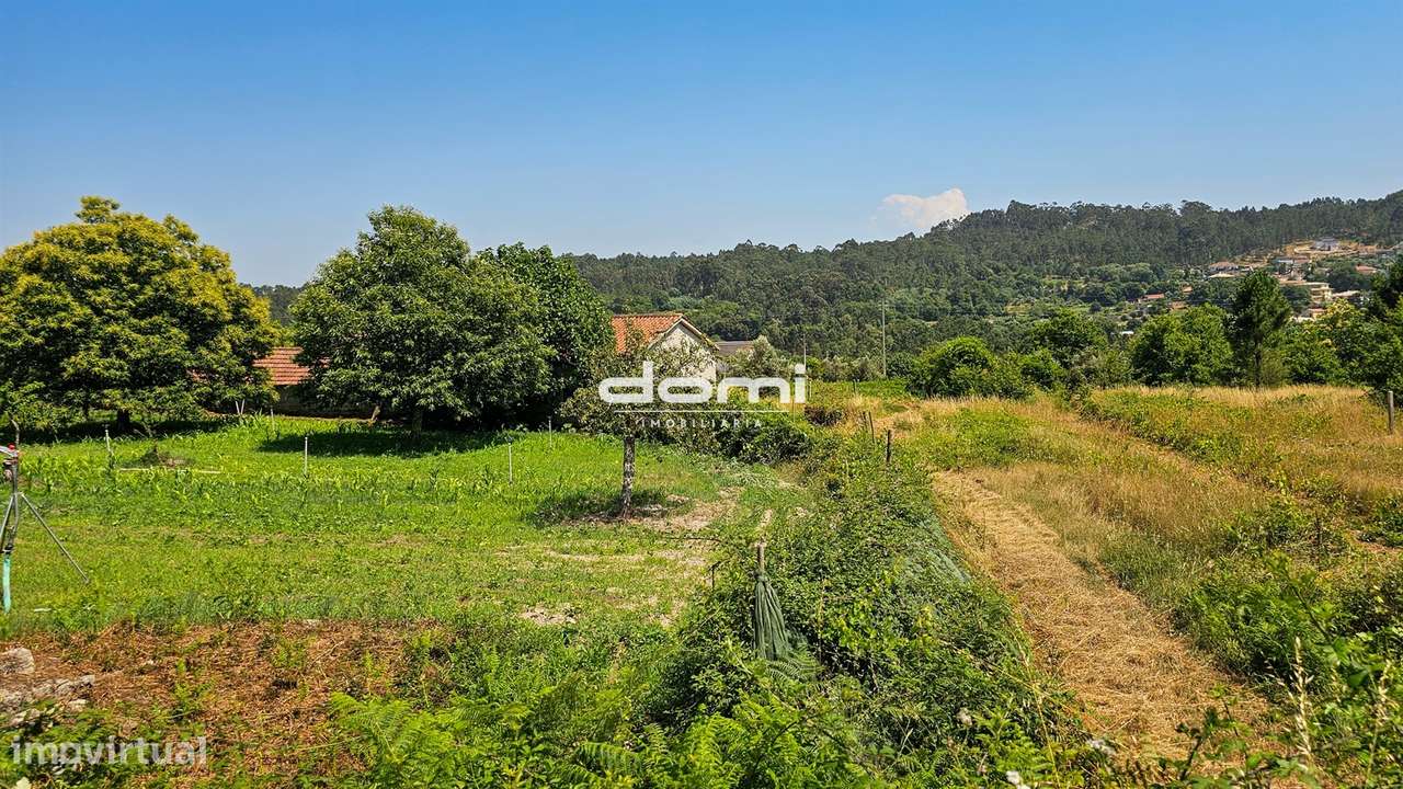 Terreno com viabilidade de construção em Vouzela - Grande imagem: 4/6