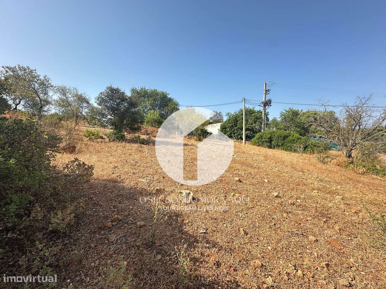 Terreno Rústico - Pechão - Grande imagem: 4/11