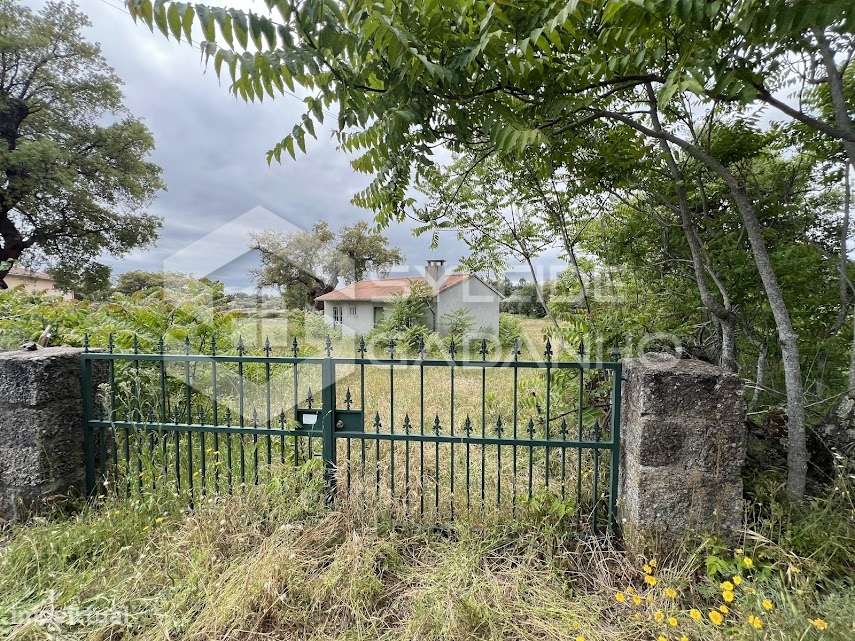 Terreno com casa agrícola para VENDA em São Miguel de Acha-12