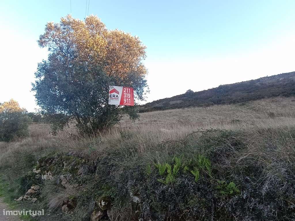 Terreno Rústico, Arruda dos Vinhos - Grande imagem: 4/5