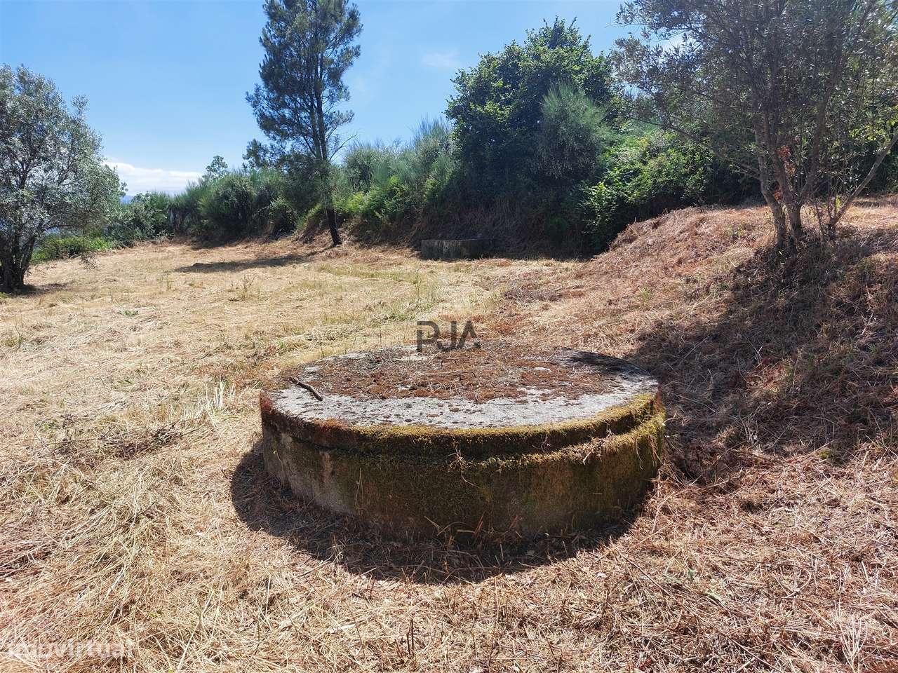 Terreno Rústico em Fornos de Algodres - Grande imagem: 4/11