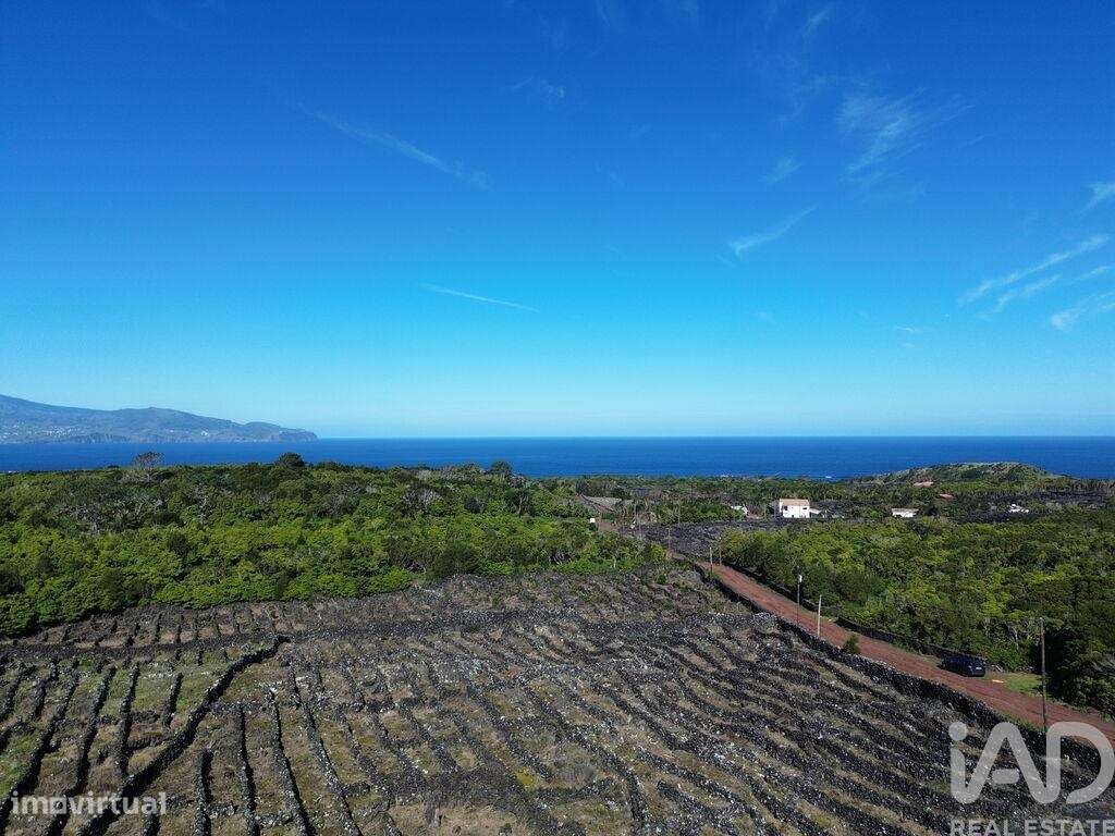 Terreno em Madalena de 20010,00 m² - Vista 5