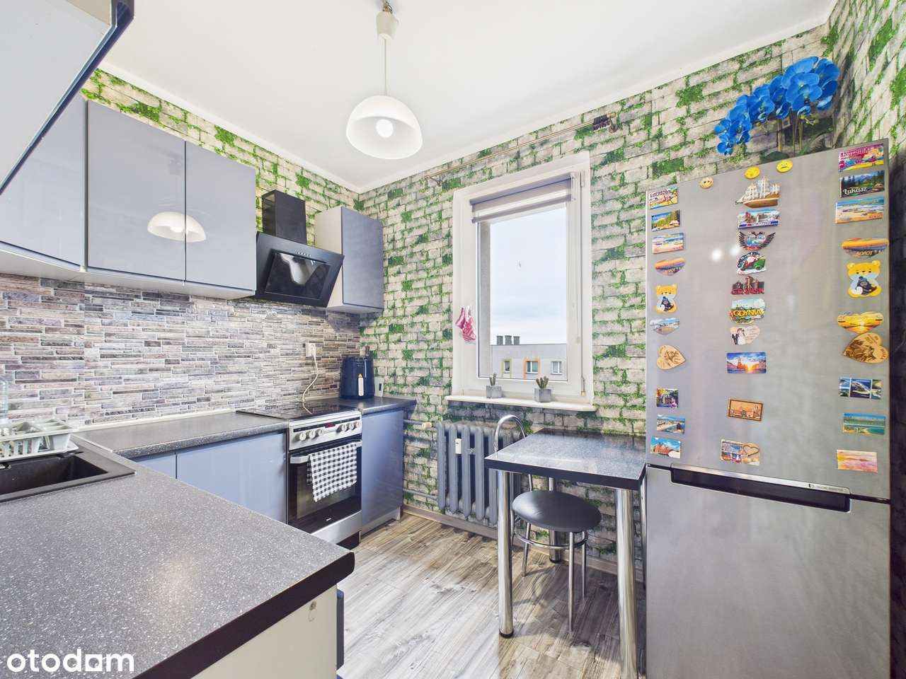 DNI OTWARTE-14.03.2026 (sobota) - od godziny 11:00 do 12:00-9