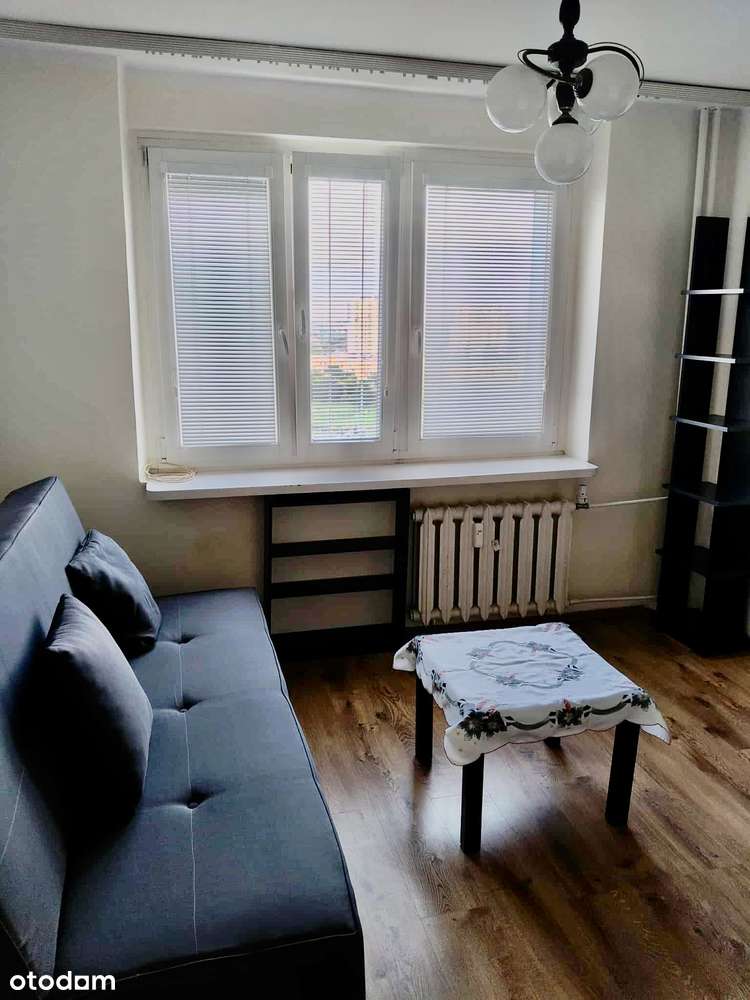 Zadbane, komfortowe 2-pokojowe mieszkanie na Ratajach-8