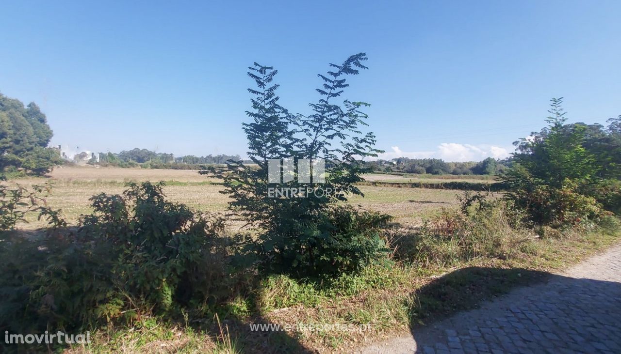 Venda de Terreno agrícola com 3600 m2, Tougues, Vila do Conde