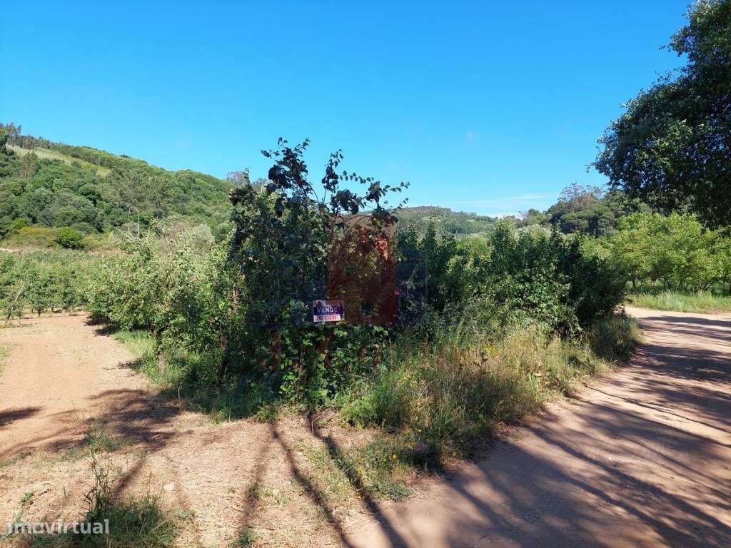 Terreno Rústico com 960 m² em Sancheira Pequena, Óbidos-6
