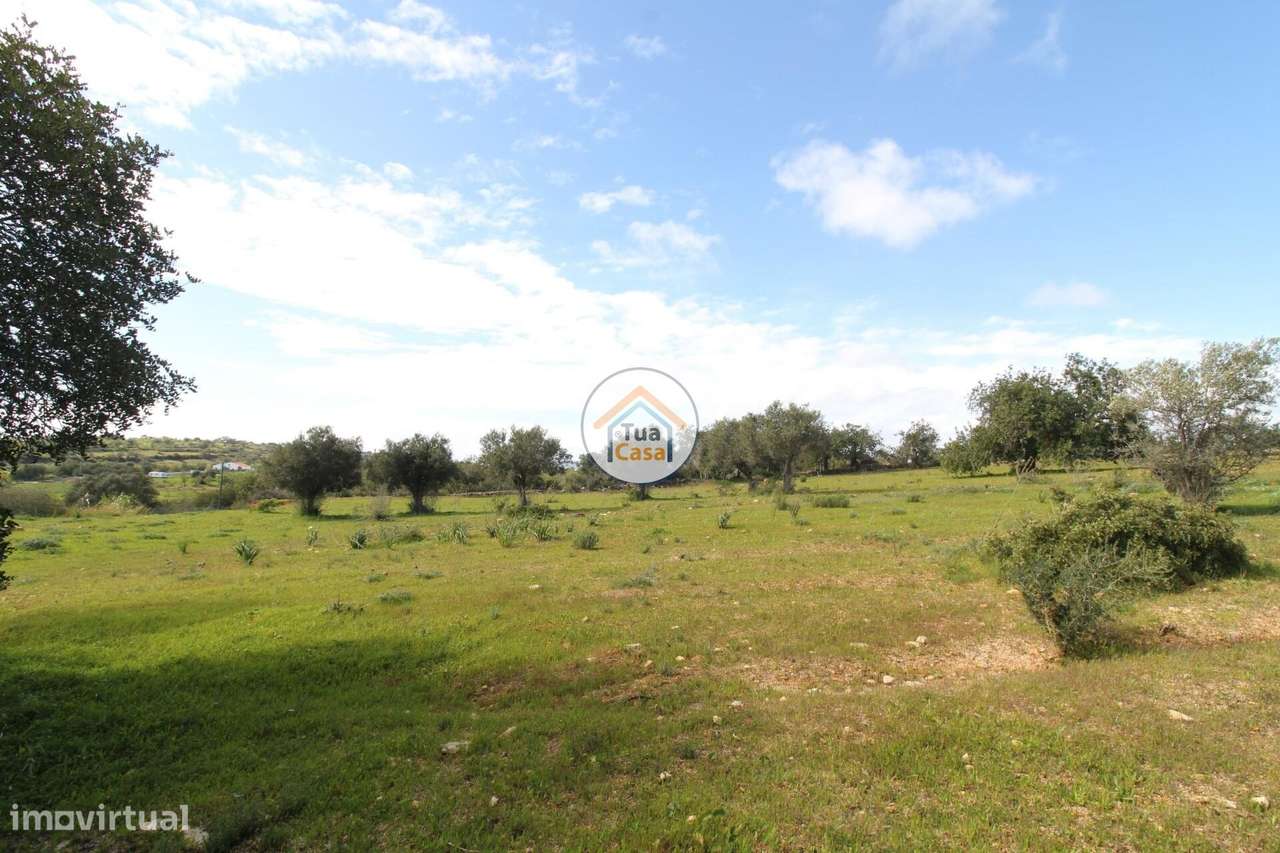Terreno Rústico com Aproximadamente 3000 m2 Perto de Pechão - Grande imagem: 5/31