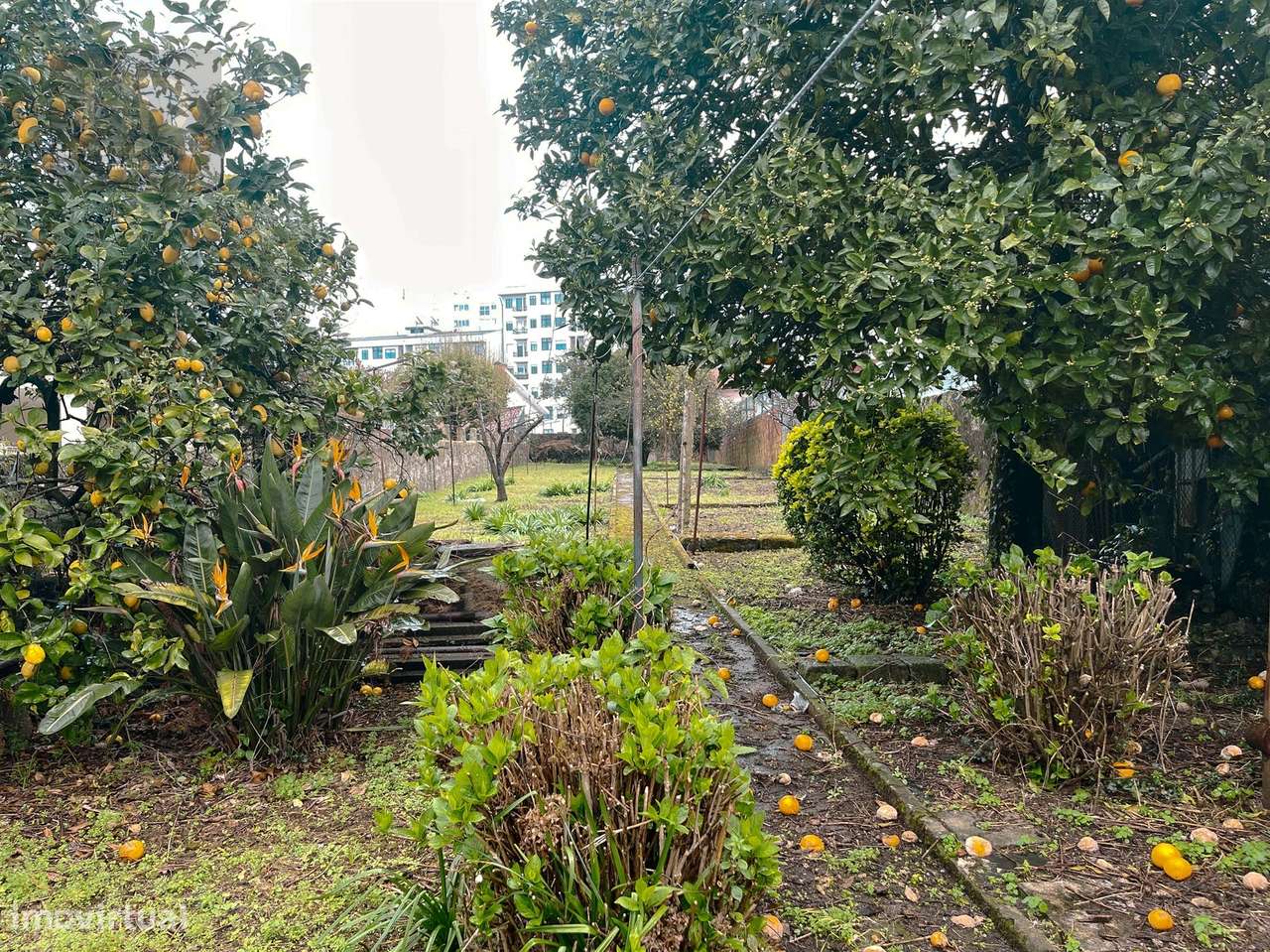 Moradia T6  em Monte dos Burgos - Grande imagem: 3/42