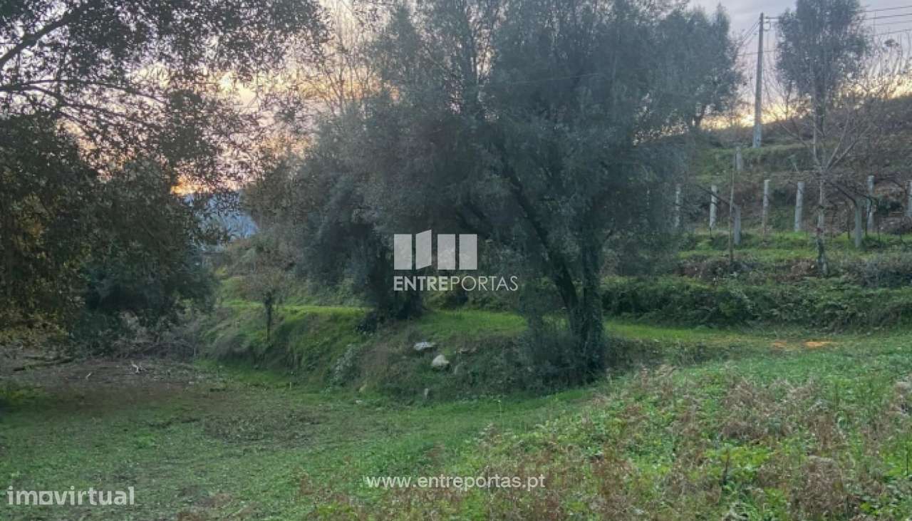 Venda de terreno para construção com 3580m², Cepões, Ponte de Lima - Grande imagem: 4/30