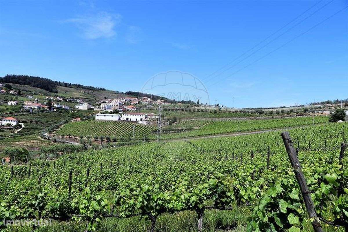 Quinta T4 para venda - Grande imagem: 4/29