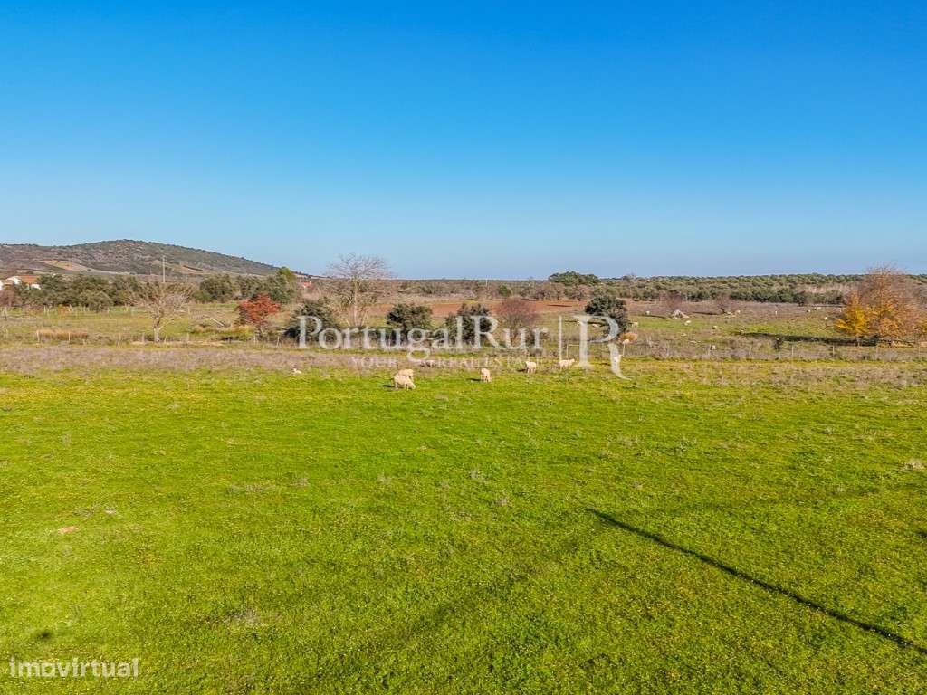 Terreno apto a Alojamento Local - Grande imagem: 4/8