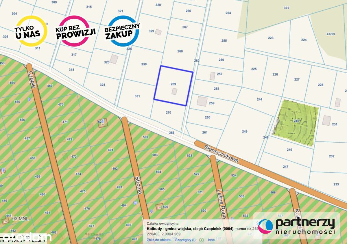 Czapielsk - Działka w Bliskim Sąsiedztwie Natury - Pełny obrazek: 5/5