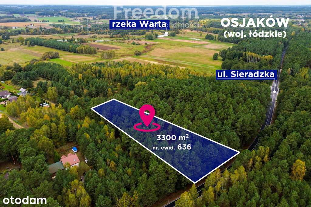 Działka budowlana w lesie 3300 m² - Pełny obrazek: 4/18