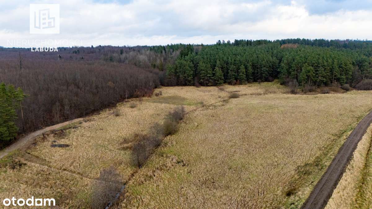 Widokowa działka z WZ przy lesie – Prokowo-5