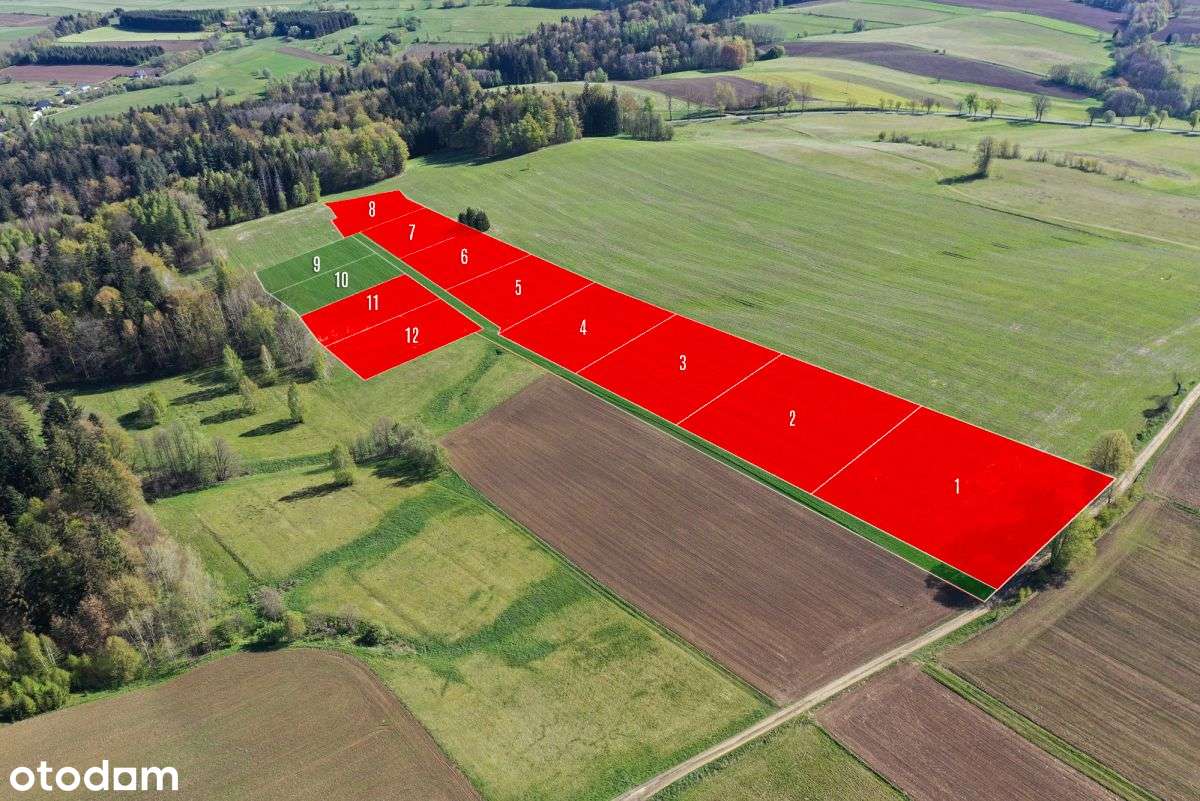 Działki widokowe w gminie Międzylesie / 3000 mkw. - Pełny obrazek: 4/8