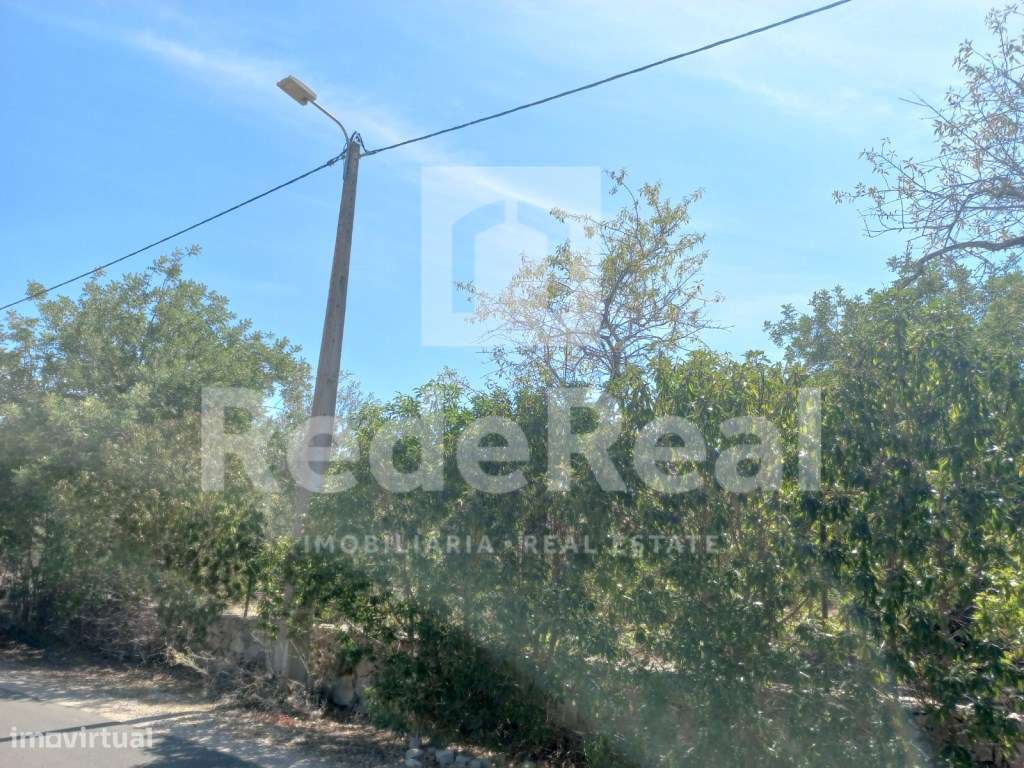 Terreno rústico, Loulé - Grande imagem: 5/15
