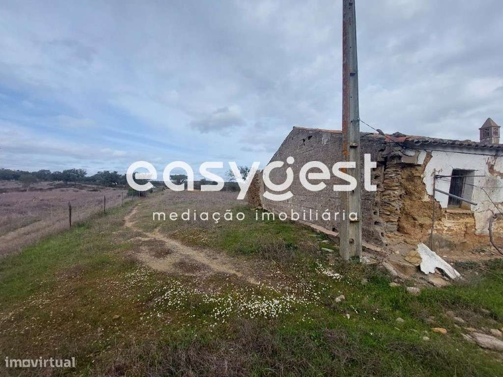 Monte Alentejano para recuperar localizado na freguesia de Ourique - Grande imagem: 5/15