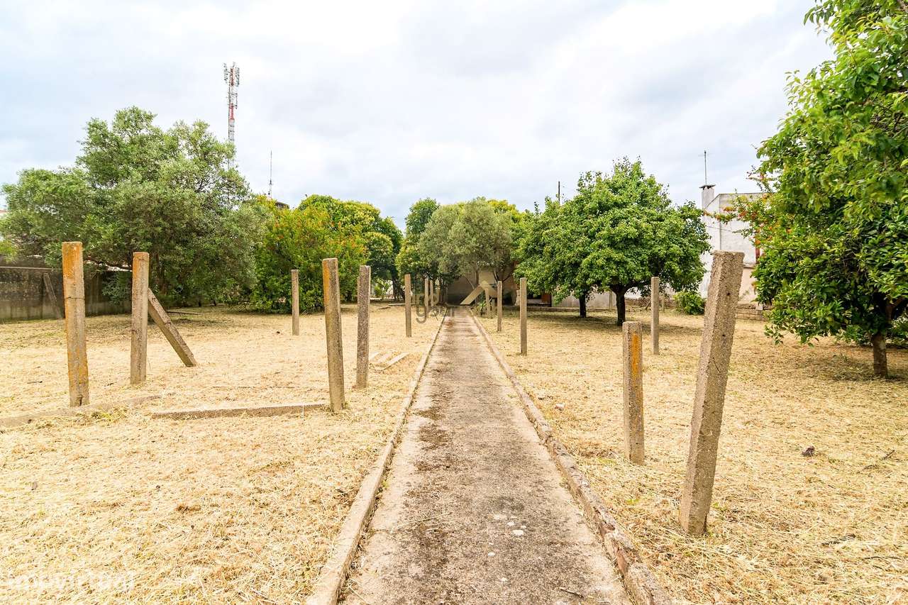 Moradia T3 com Terreno de 2.270m² no Centro do Entroncamento-33
