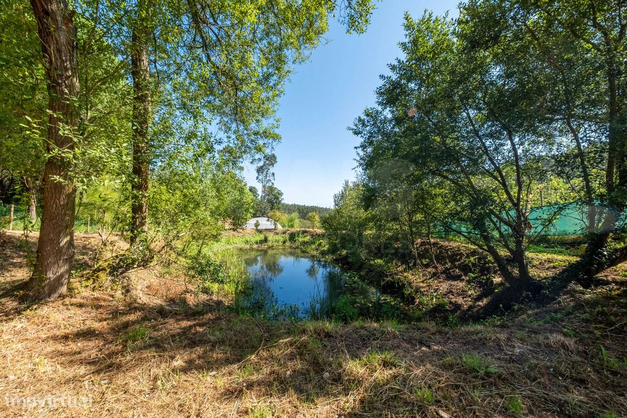 Terreno Agrícola na Fanadia | 16.100 m² de Potencial e Infraestrutu...-12