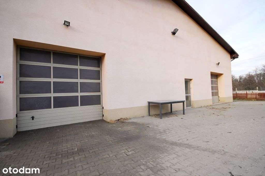 Teren z halą z przeznaczeniem pod działalność - Pełny obrazek: 2/14