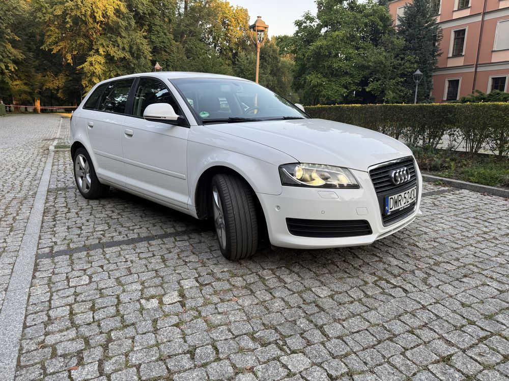 Audi A3 8P (2003-2012) 2.0 TDI DPF Attraction 2009