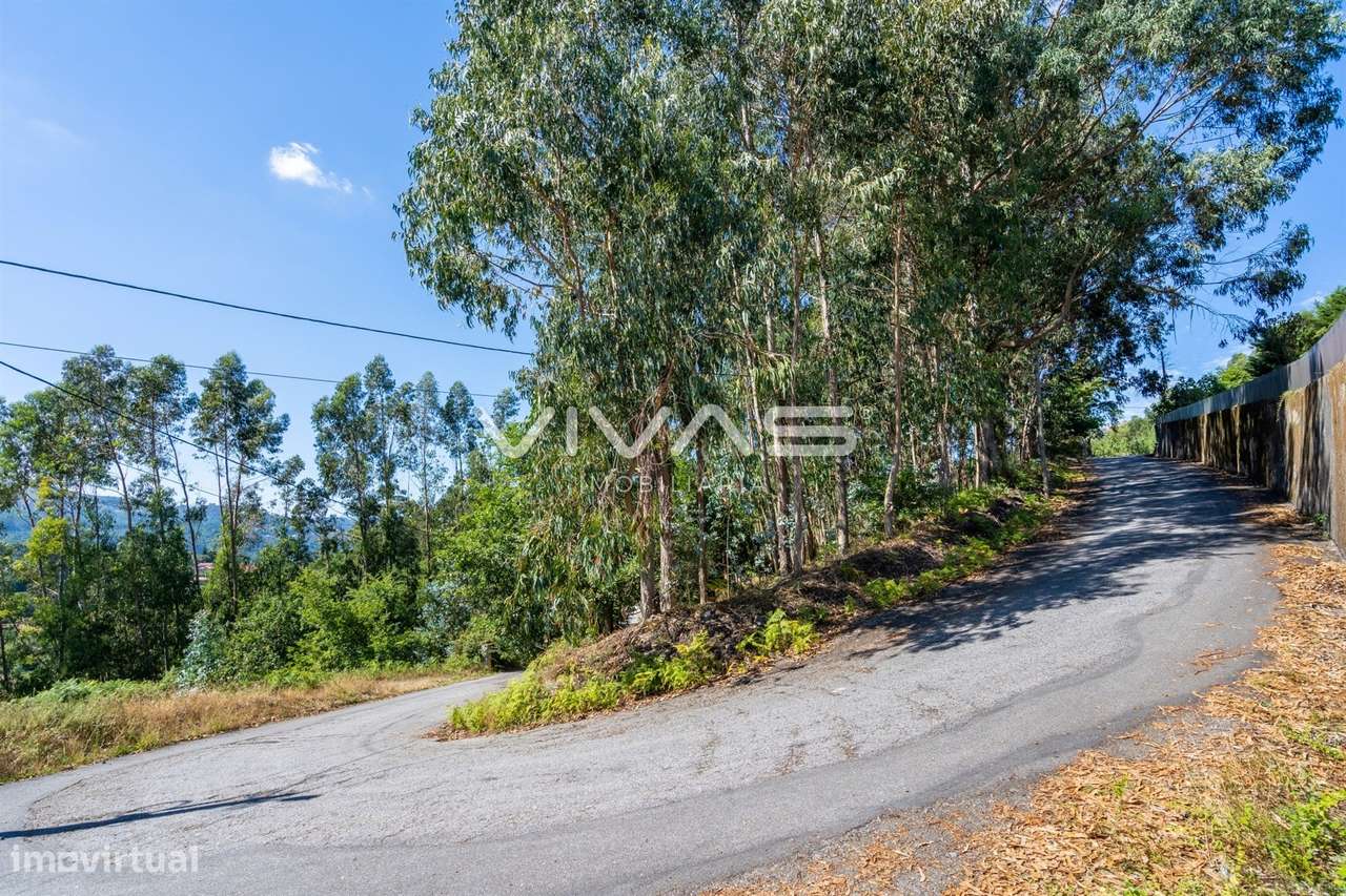 Terreno Para Construção  Venda em Vade,Vila Verde-18