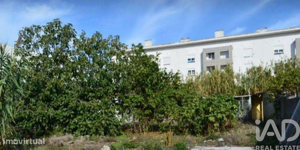 Terreno em Ajuda de 2000,00 m2 - Grande imagem: 3/11