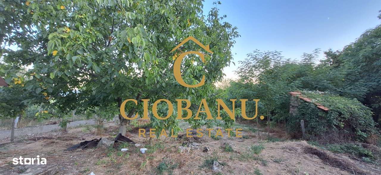 Teren cu casa batraneasca de vanzare in comuna Jugureni judet Prahova-11