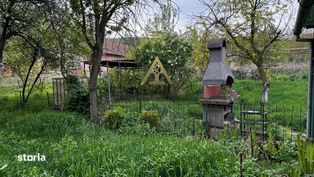 Teren de vanzare 8114 mp si  casa   in Coroisanmartin-Mures - Imagine principală: 2/8