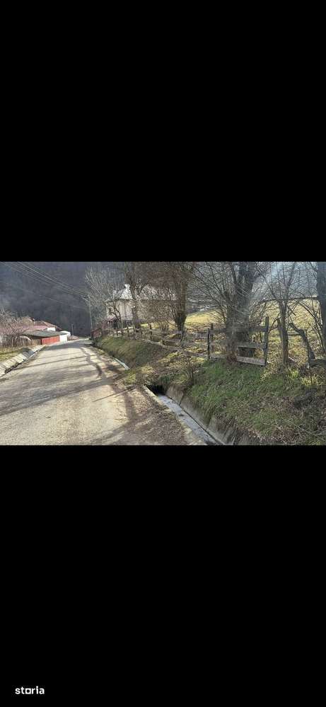 Teren la Mihaiesti , gaz , apa , curent-0