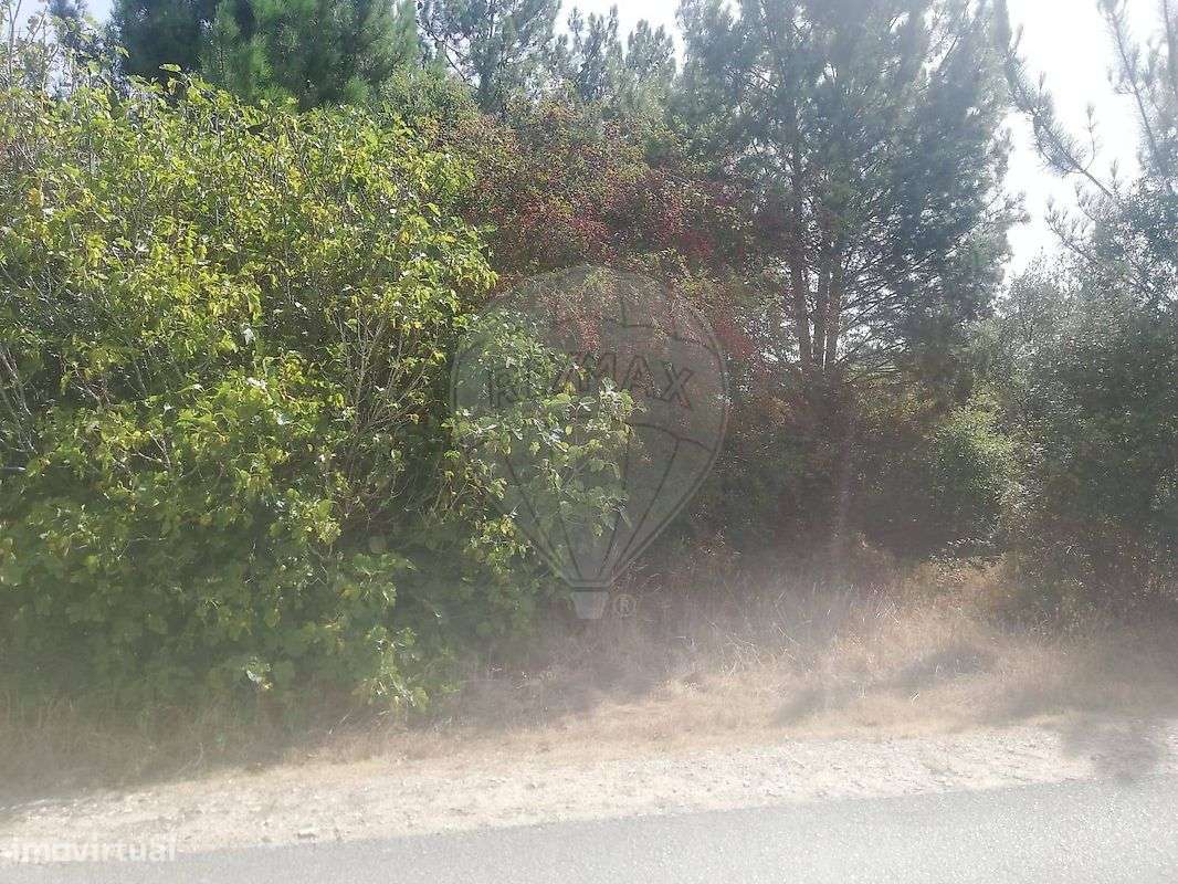 Terreno  para venda - Grande imagem: 4/5