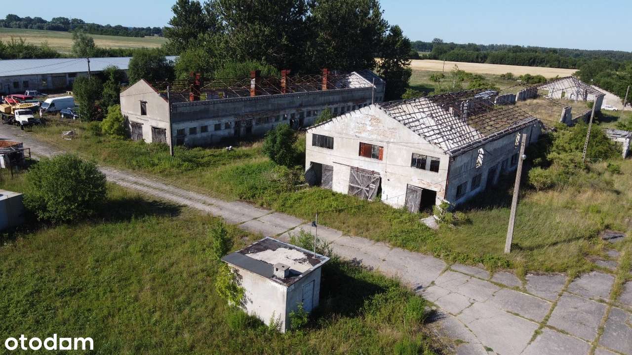 Hala magazynowa, warsztatowa, produkcyjna - Grunt 4,5 hektara-12