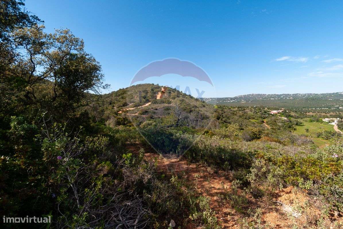 Terreno  para Venda - Grande imagem: 2/10