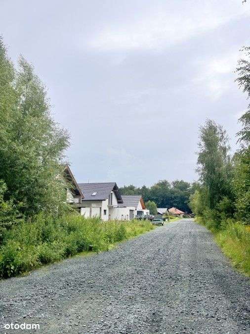 Działka Budowlana Zieleniewo -Morzyczyn - Pełny obrazek: 3/4