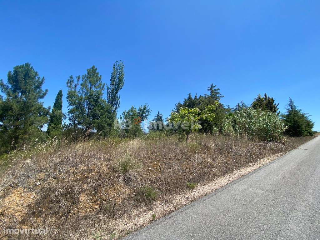 5 Terrenos Conjuntos - Boca da Mata, Tomar - Grande imagem: 4/17