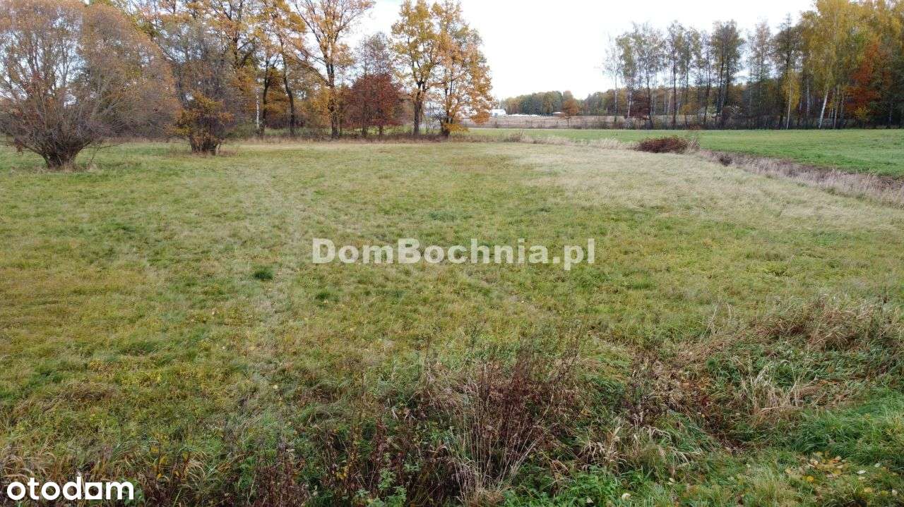 38ar budowlana przy drodze Borek Rzezawa-16