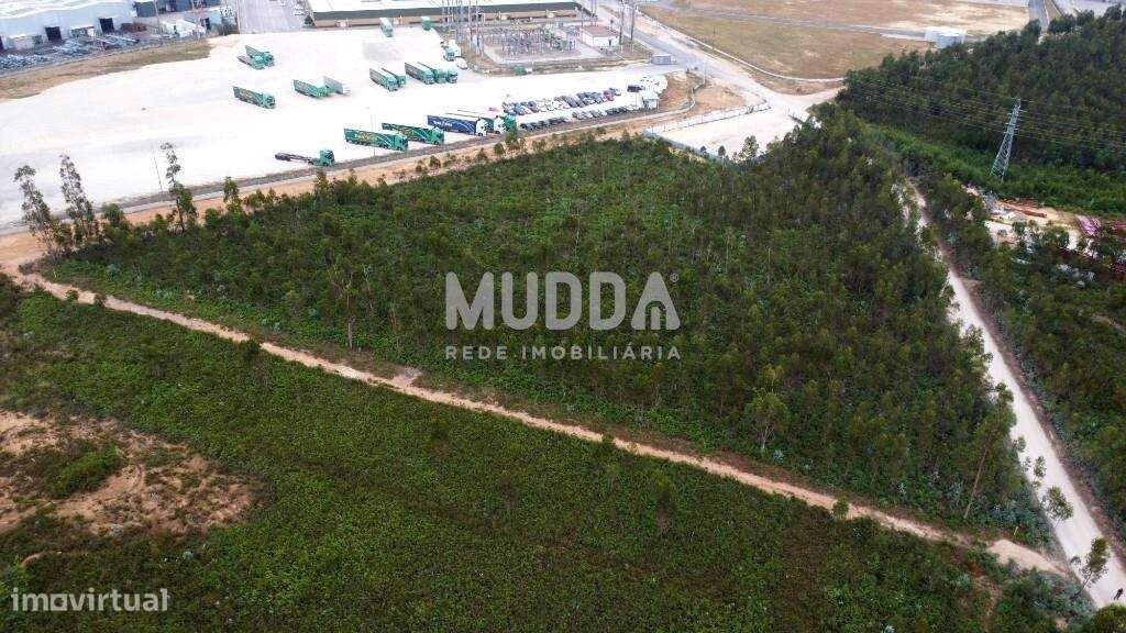 OPORTUNIDADE ÚNICA – TERRENO INDUSTRIAL PREMIUM EM ALBERGARIA-A-VELHA-6