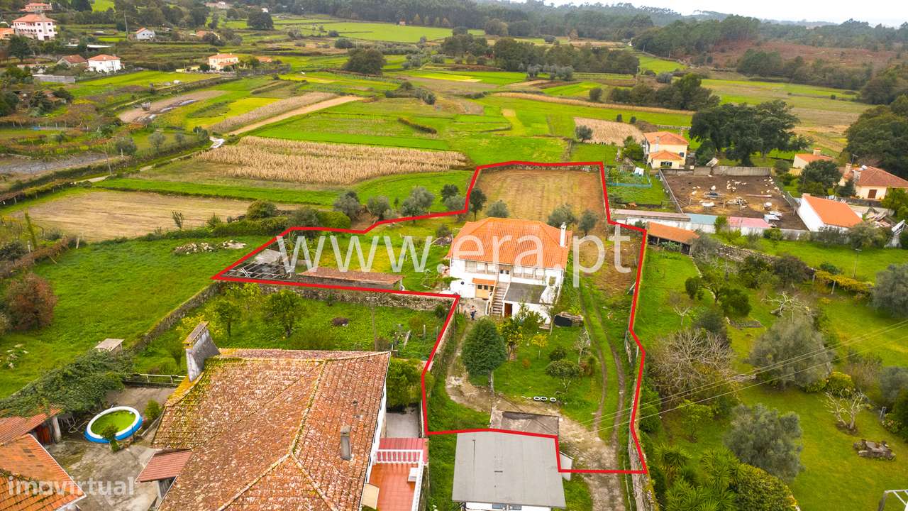 Onde a Visão Encontra a Natureza-0