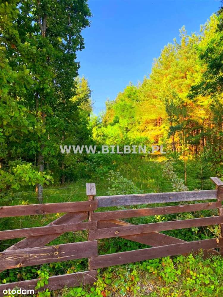 Działka z warunkami zabudowy przy jeziorze Wigry ! - Pełny obrazek: 5/10