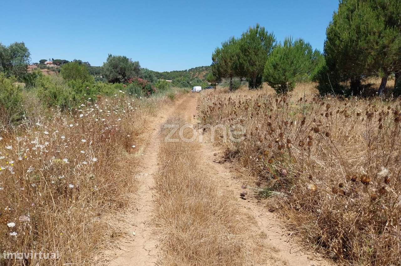 Terreno Rústico com 18.420m2 nos Campilhos, S.B.Messines - Grande imagem: 2/29