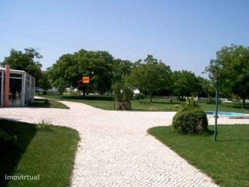 Quinta da Loureira - Urbanização e Turismo Rural-17