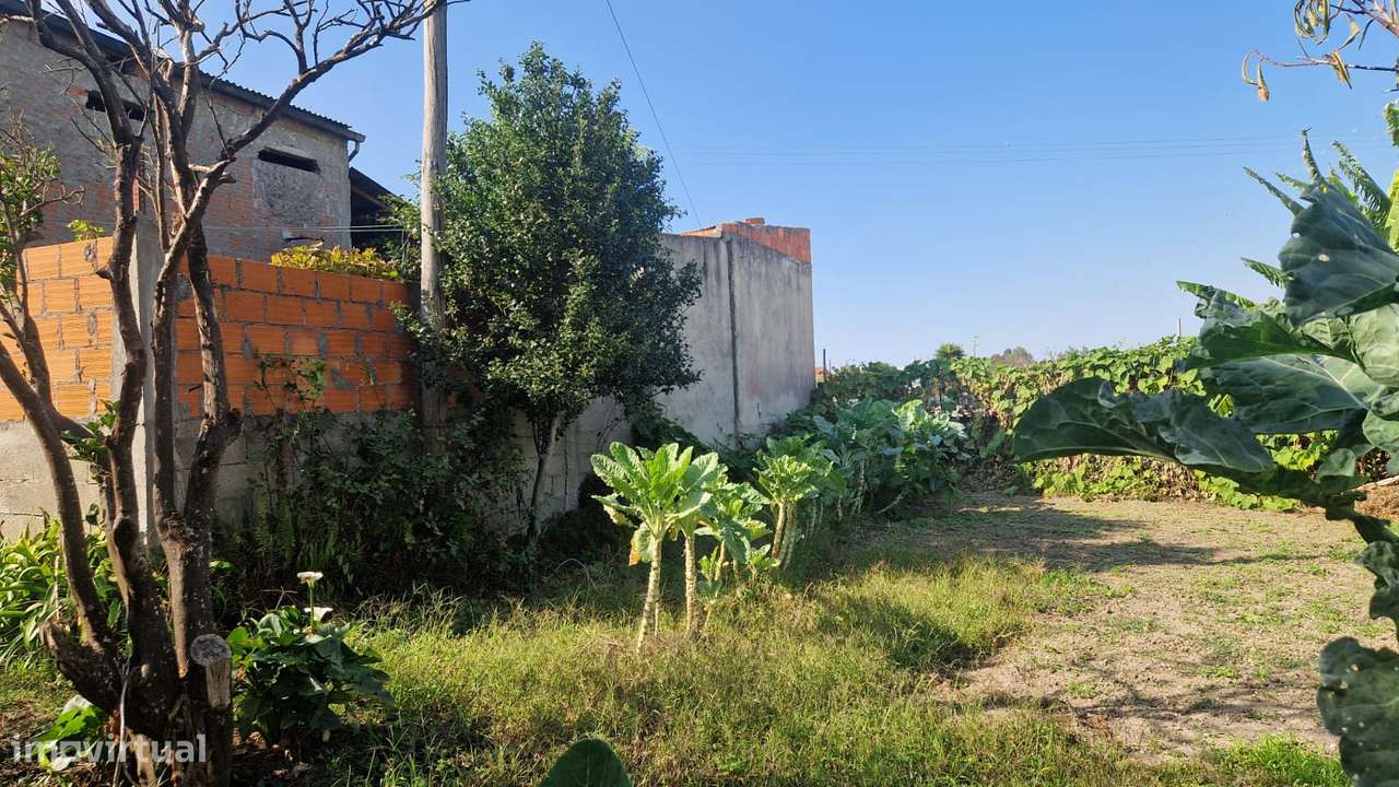 Moradia Térrea para Reconstrução em São Bernardo, Aveiro-21