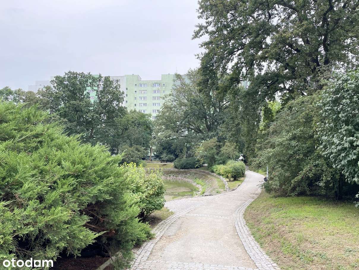 3 pokoje -Biskupin-12