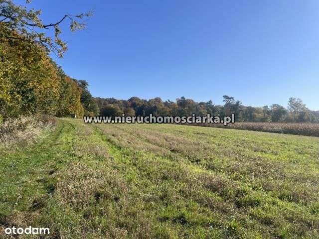 Działka rolno-leśna 1,53 hektara - Pełny obrazek: 4/12