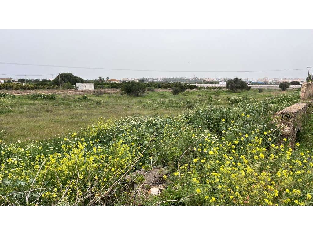 Terreno com ruína e terreno rústico, Galvana, Faro, Algarve - Grande imagem: 5/23