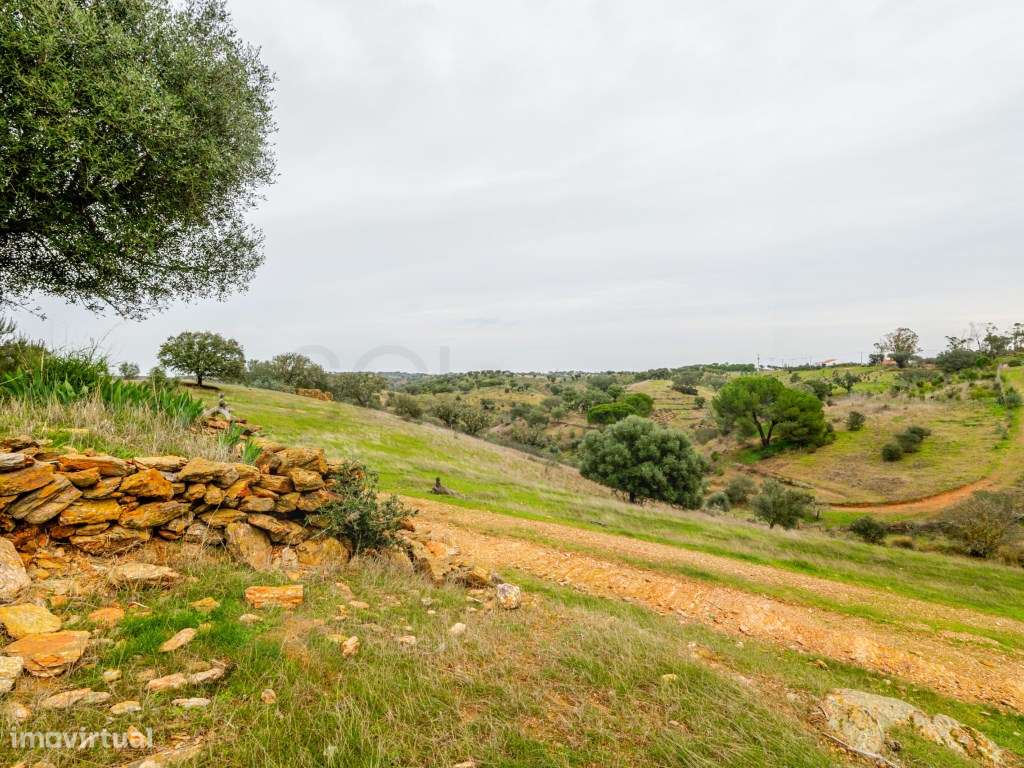 Investimento em Serpa: 6,5ha c/ Viabilidade Turística-21