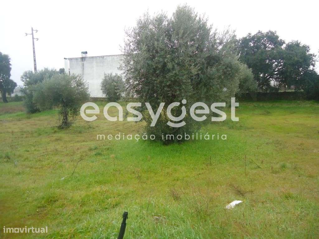 Lote 13 - Terreno Urbano para construção de moradia - Grande imagem: 2/11