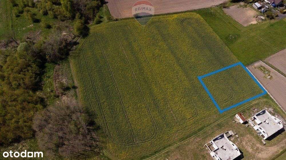 Działka Budowlana Czarków/Pszczyny - Pełny obrazek: 4/8