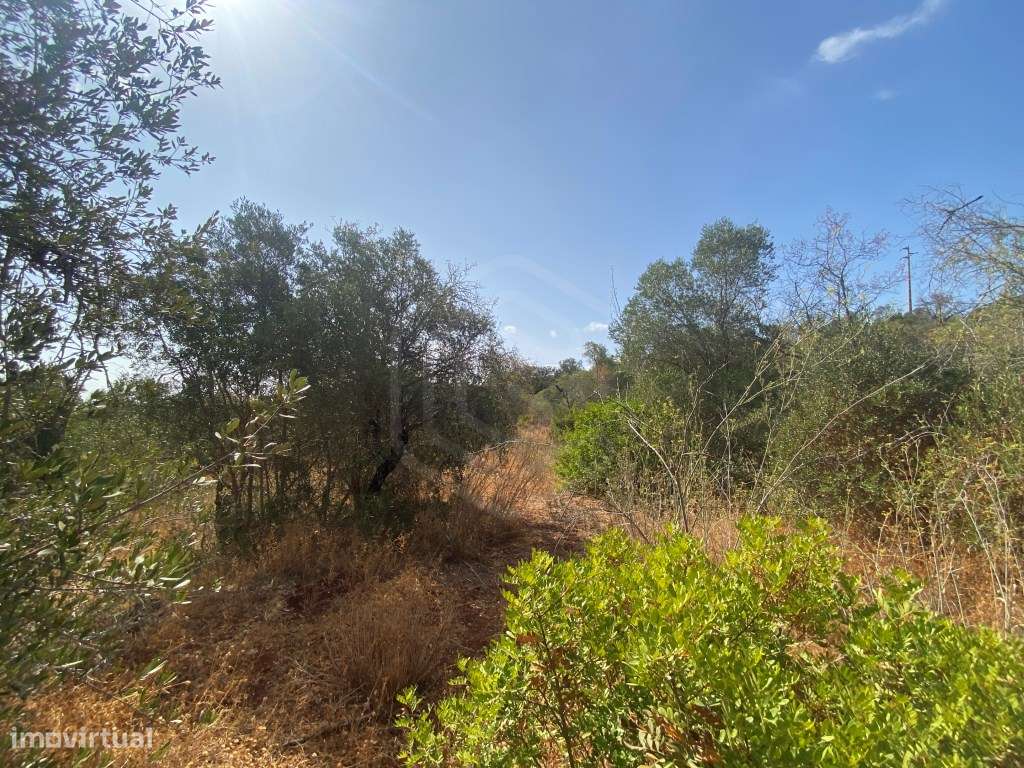 Lote de Terreno Rústico no Serro dos Passarinhos, Loulé, Algarve - Grande imagem: 5/11